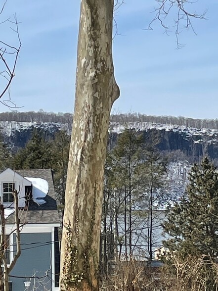 View from Kitchen Window - 48 Washington Ave