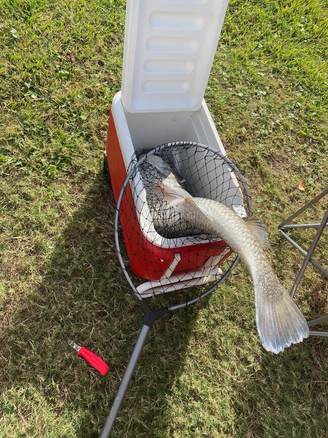 Building Photo - 3100 75th St