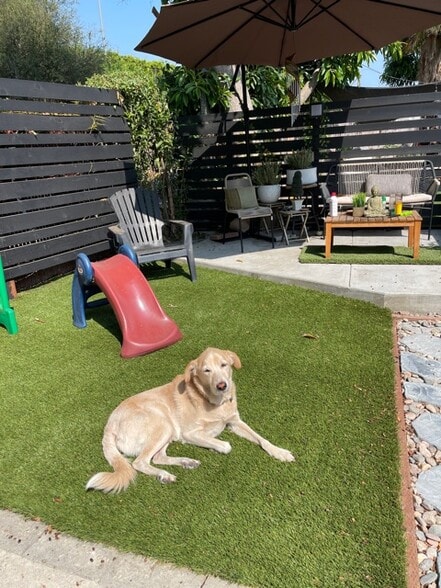 Turf and additional hang out area in yard, - 2659 Newell St