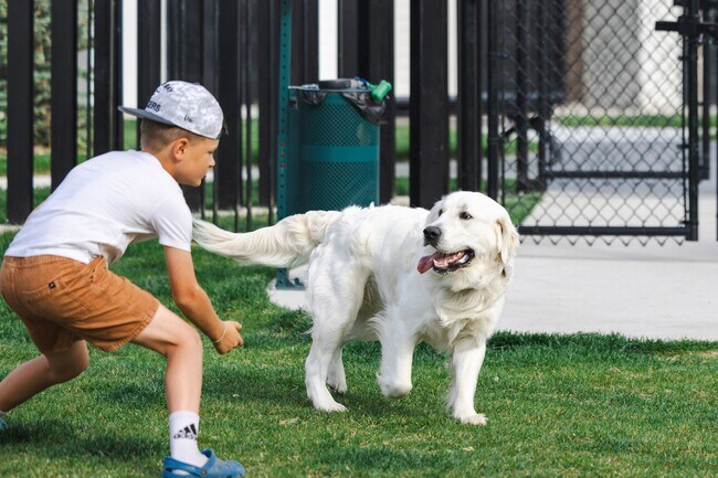 Building Photo - Renting Now for April 2025! Spacious 1 Bed...