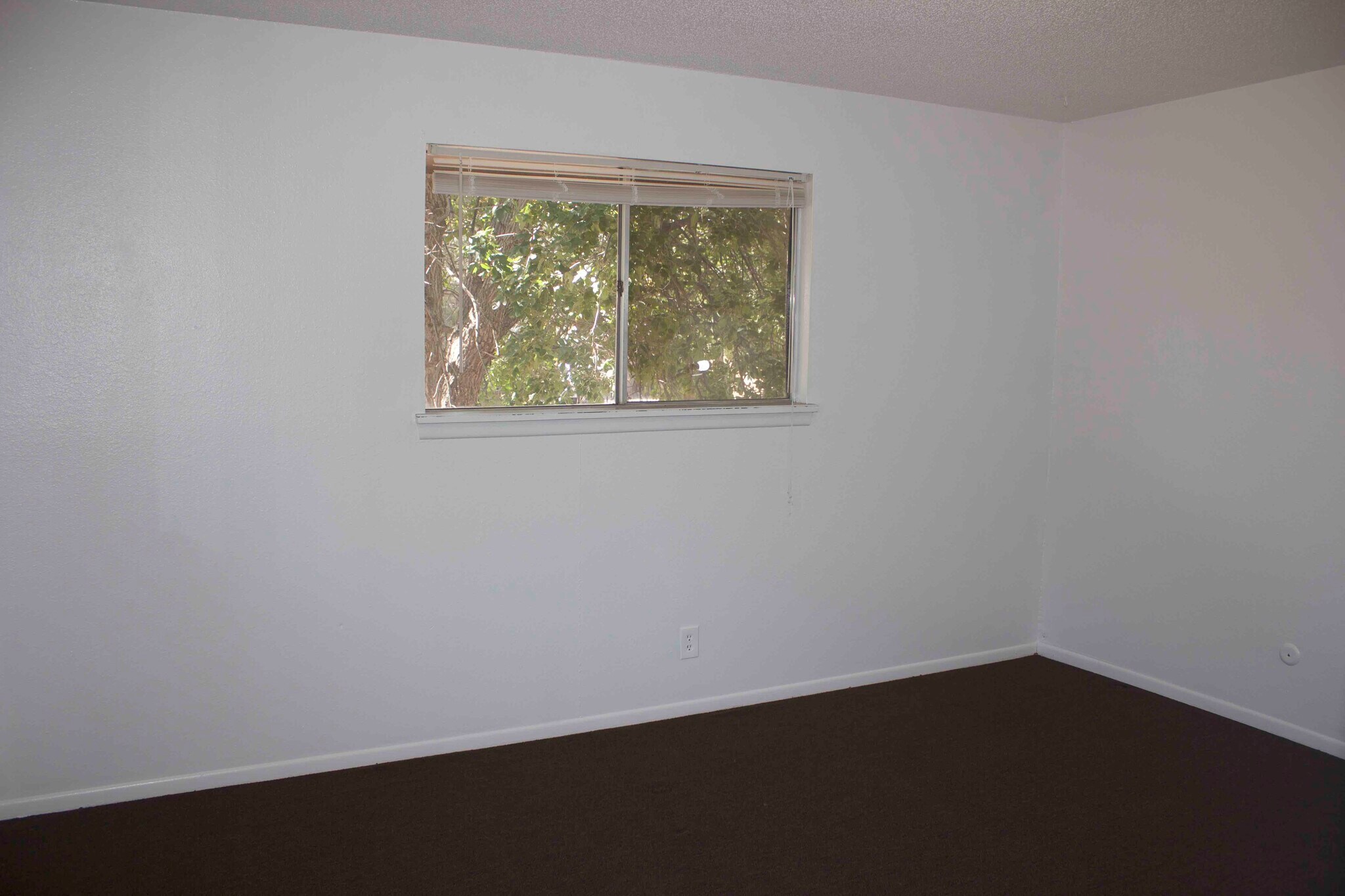 1st bedroom - 21 Douglas Ln