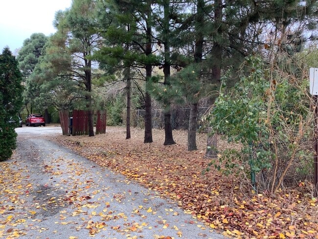 Building Photo - 10402 Moody Ave