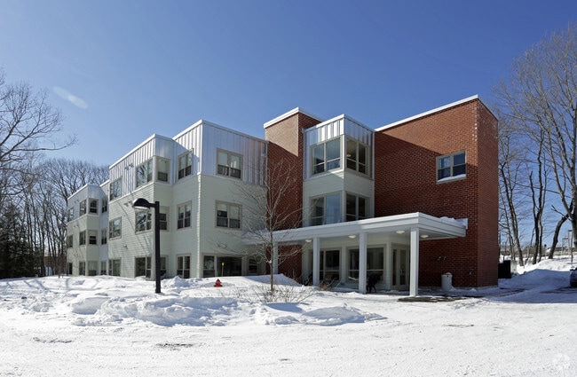 Primary Photo - Oak Leaf 2