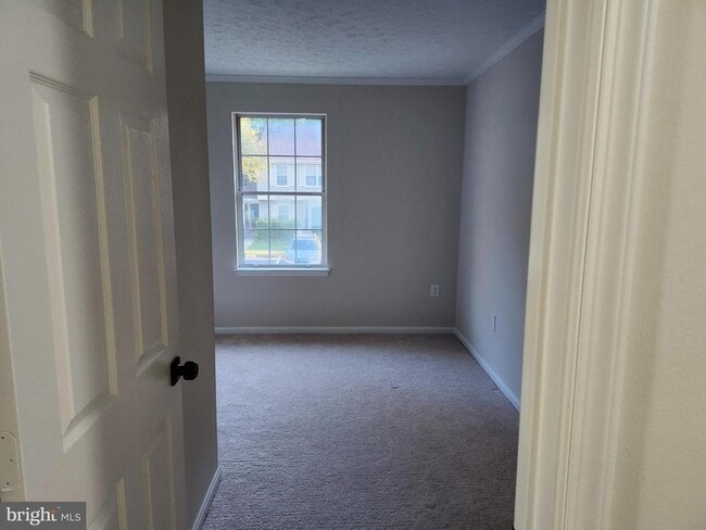 Building Photo - 4884 Saltwater Dr