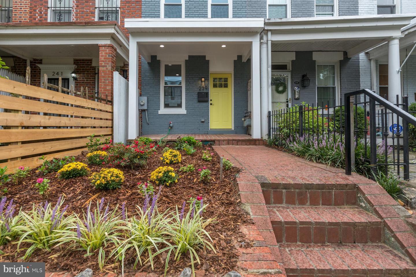 Newly Renovated! - 239 14th Place, NE
