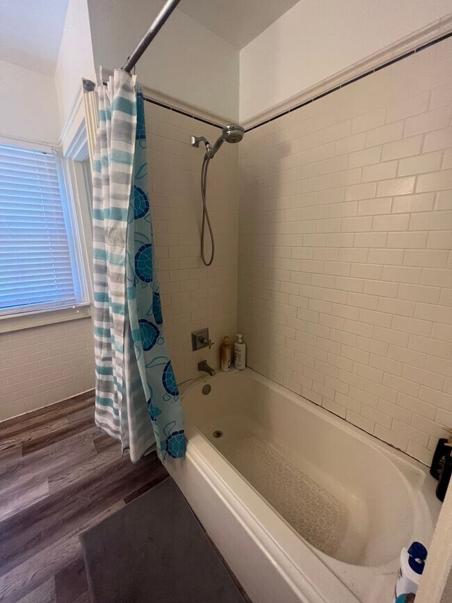 Building Photo - 6 BR Home on Broadway with Pool, Available for Next School Year!