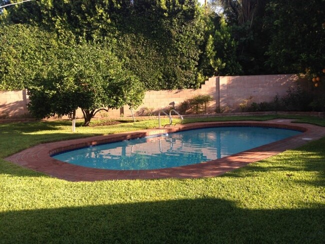 Charming oval-shaped pool, citrus trees, grassy lawn, gardeners and pool service included. - 5182 Woodley Ave