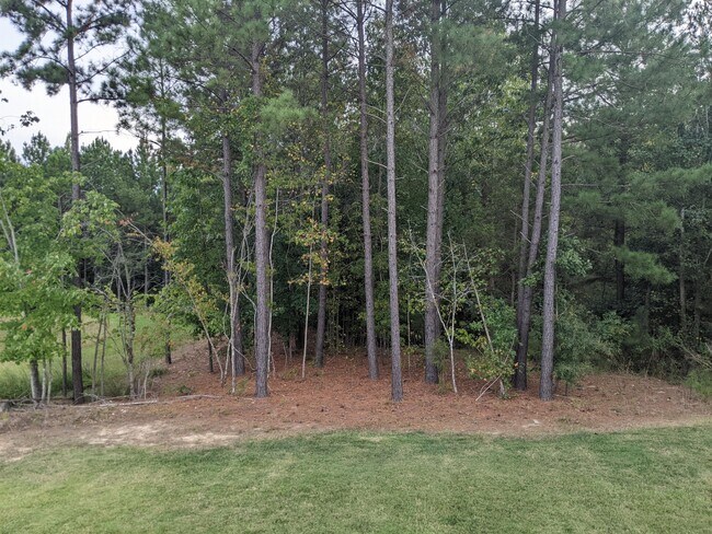 Building Photo - 422 Holly Blossom Dr