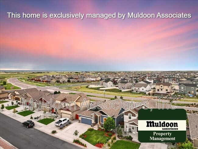 Building Photo - 13569 Park Meadows Dr