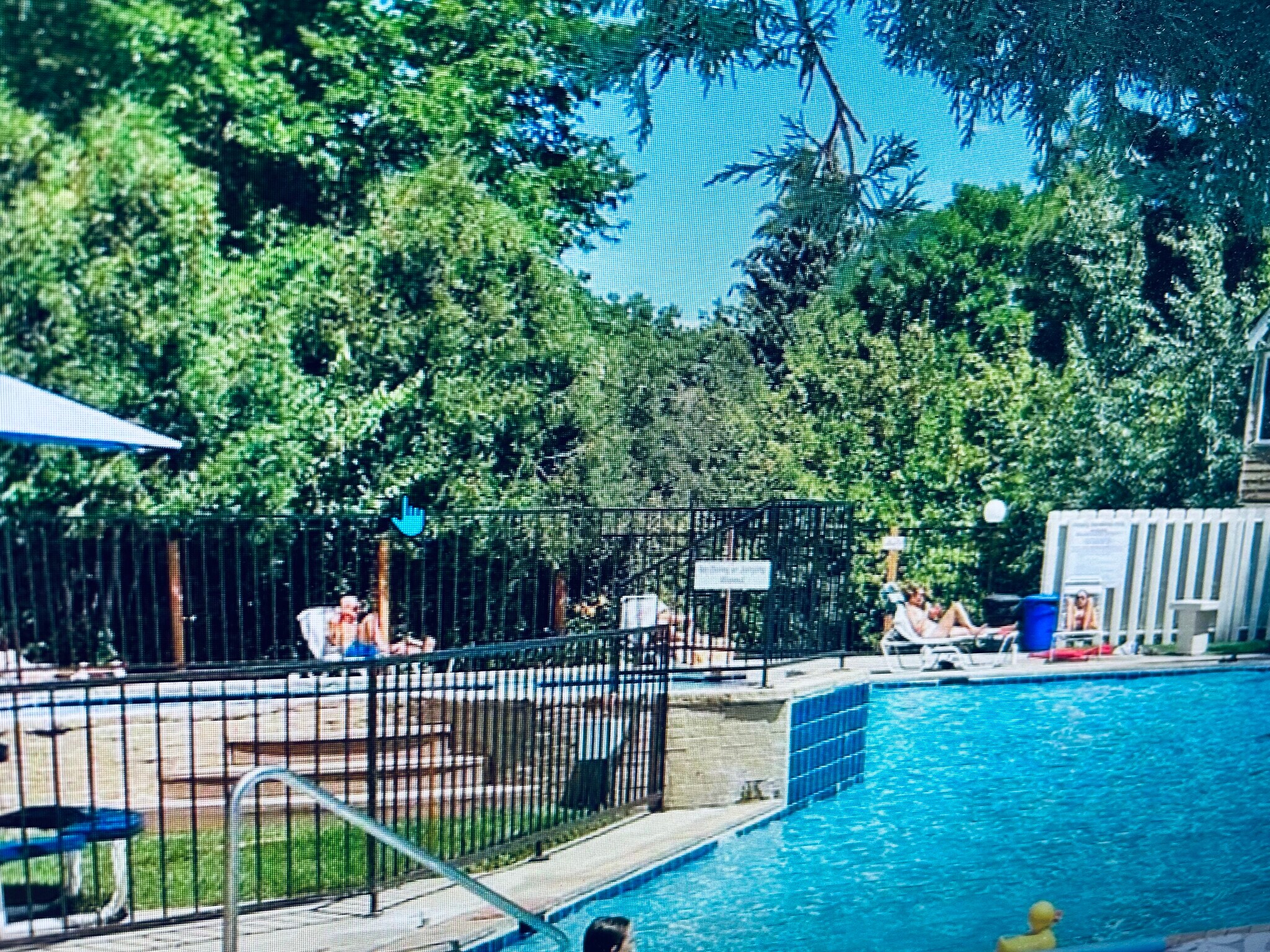 Seasonal pool - 6036 Gunbarrel Ave