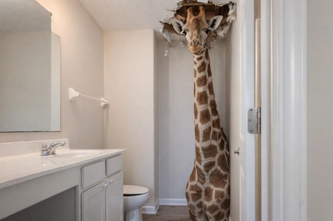 Building Photo - 5630 Alliance Way