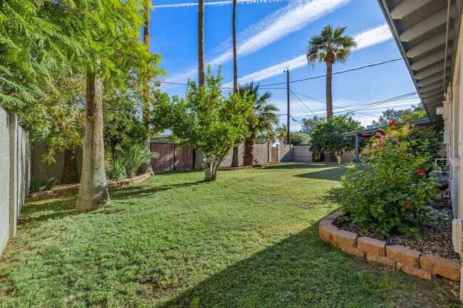 Building Photo - Cute 3 Bedroom 2 Bath In Phoenix!