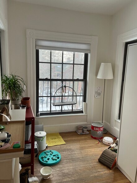 Room 2 Study - 10 Trowbridge St