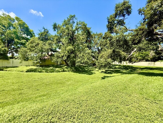 Building Photo - 1271 Powderpuff Dr