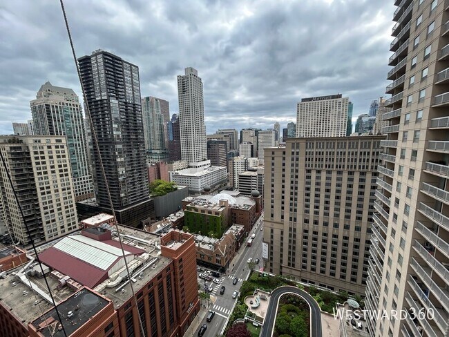 Building Photo - 545 N Dearborn St