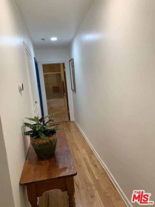 Building Photo - 831 Wilcox Ave