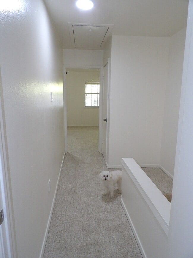 Building Photo - 4300 Travis St