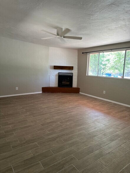 Living room fireplace - 1315 E Adams St