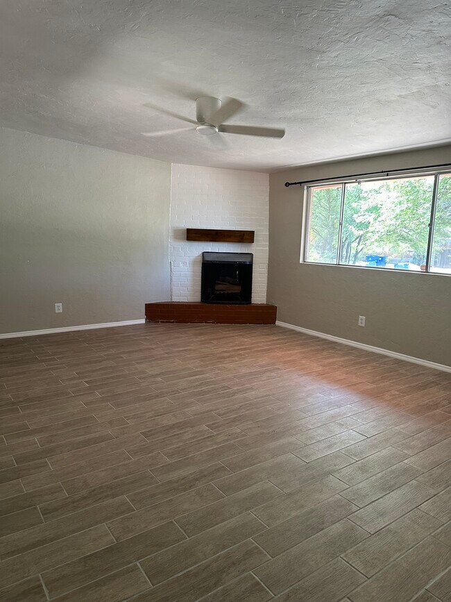 Living room fireplace - 1315 E Adams St