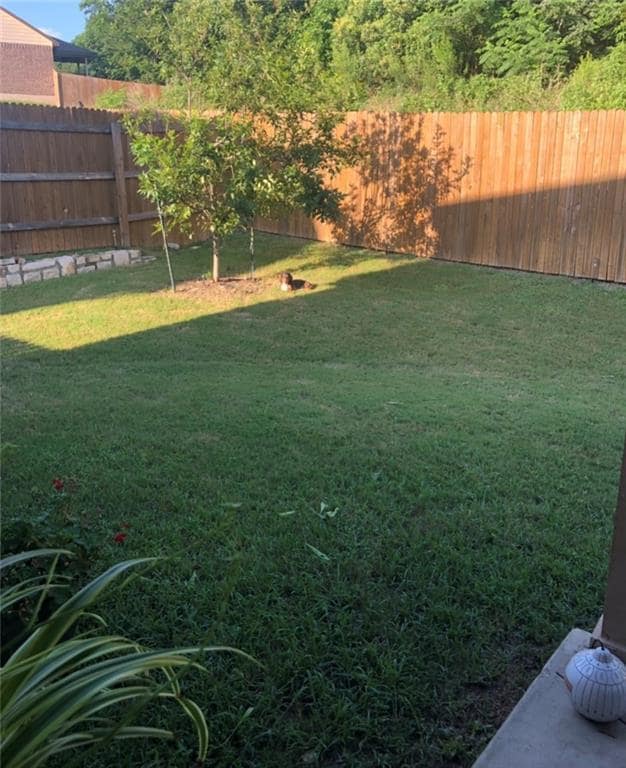 Building Photo - 10805 Owyhee Vw