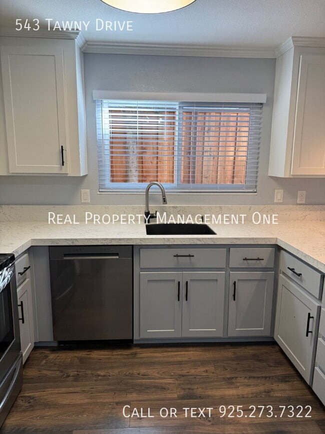 Building Photo - 543 Tawny Dr