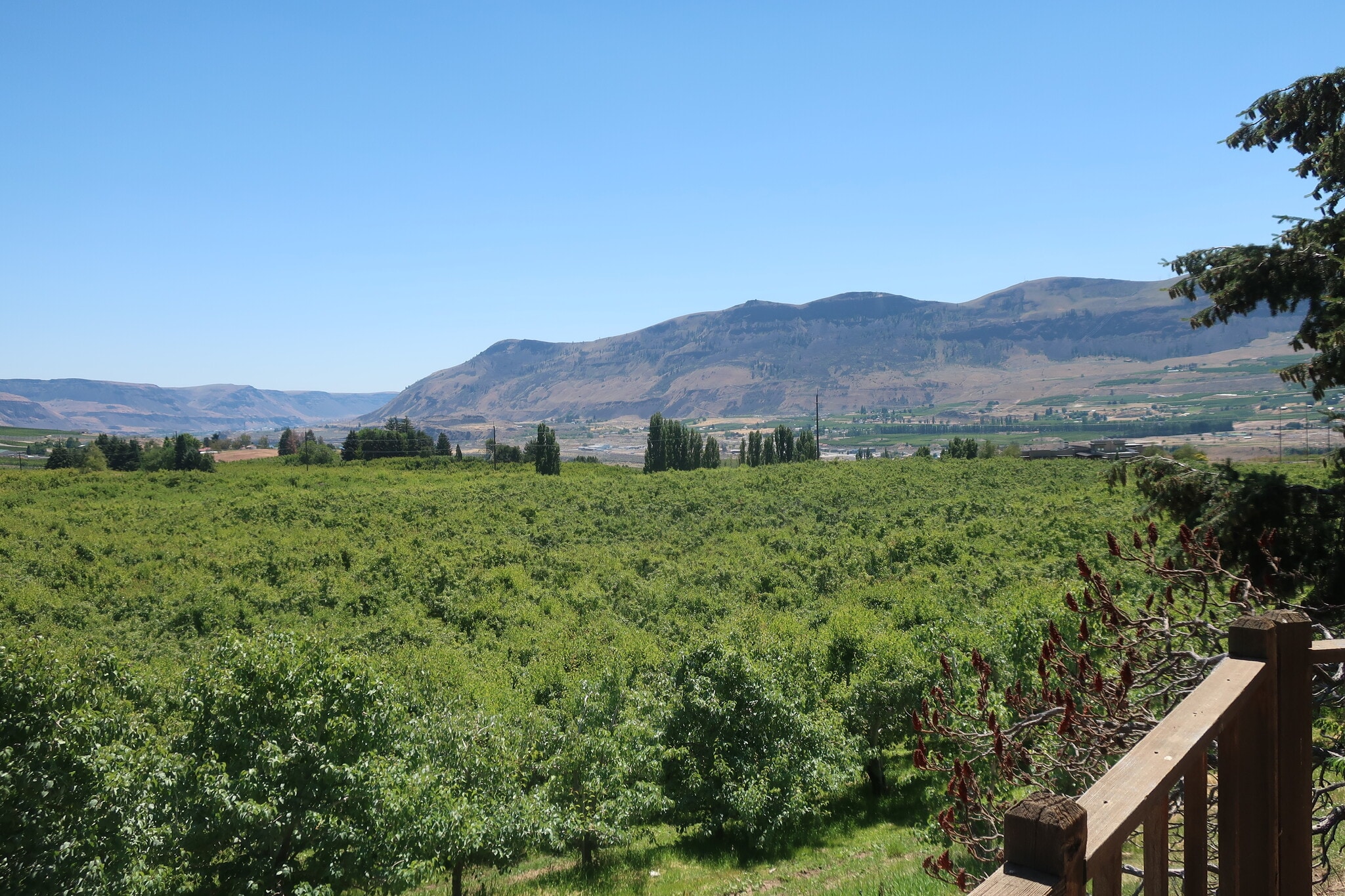 Building Photo - 3601 10th St SE