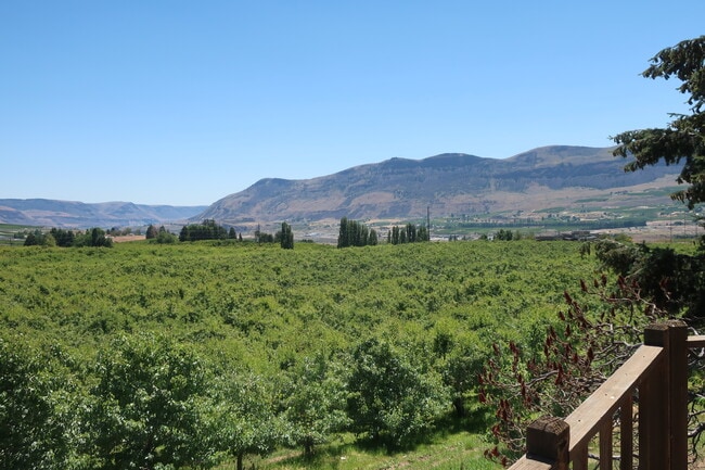 Building Photo - 3601 10th St SE