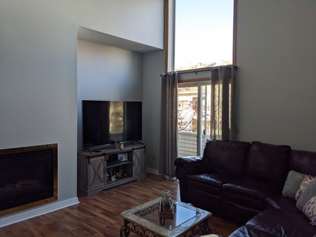 Living room - 679 Woodduck Dr