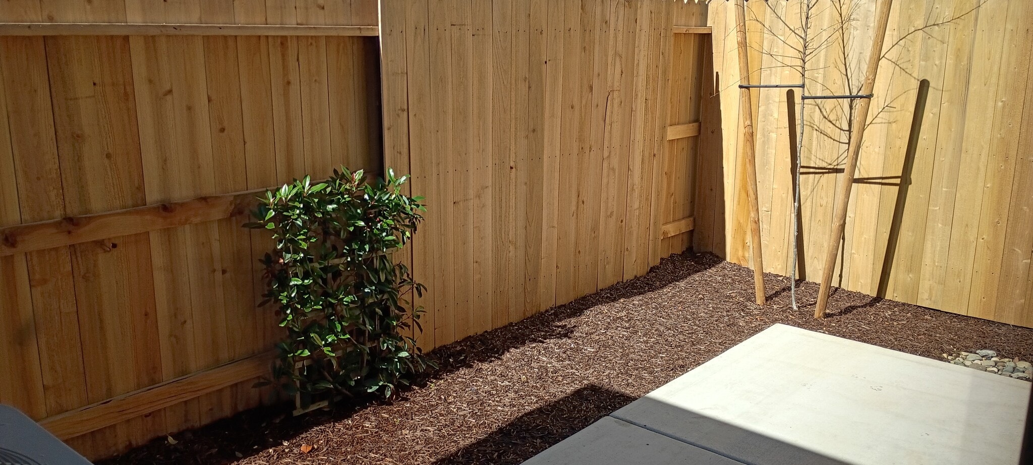 Building Photo - 821 Lake Park Cir