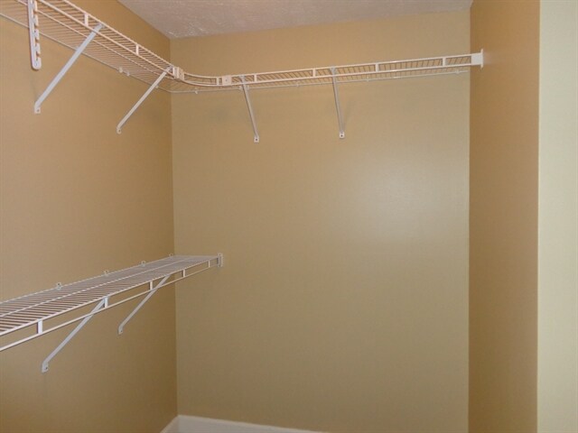 Building Photo - 1021 Stratus Dr