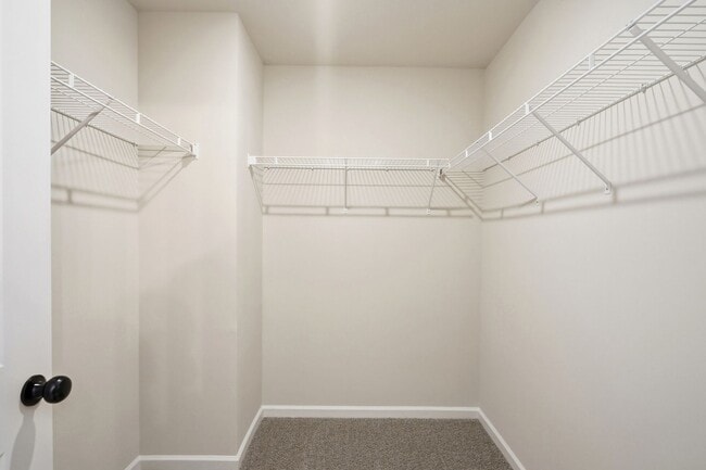 Building Photo - Brand New 4BR Home in The Pines at Paw Creek – Modern Design