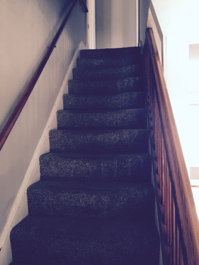 Building Photo - 313 Stanage Ave