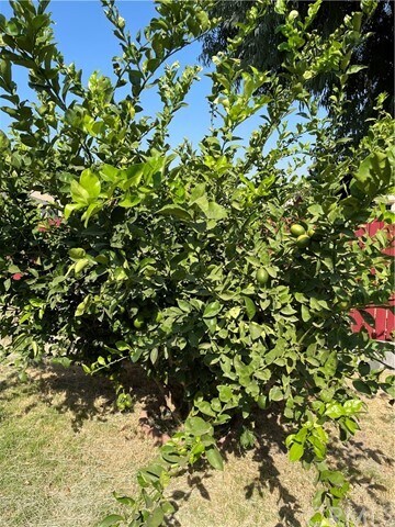 Building Photo - 4280 Jenkins Ln