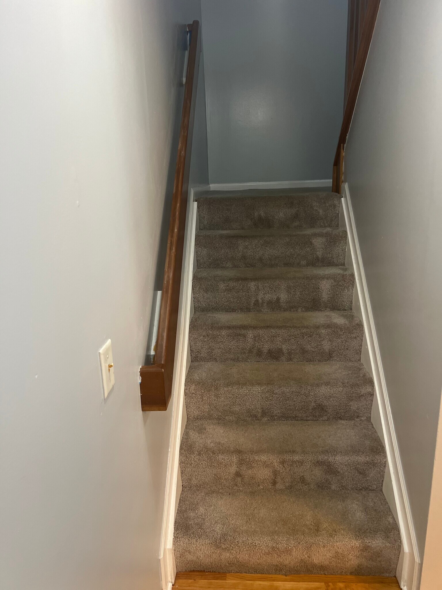 Building Photo - 8282 Catalpa Ridge Dr
