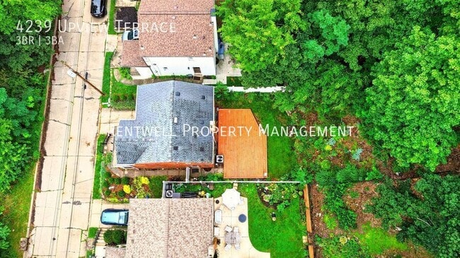 Building Photo - 4239 Upview Ter