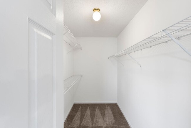Building Photo - 5001-5003-5003 Betty Jean Way