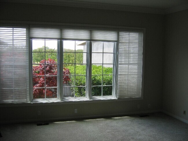 Building Photo - 8537 Pezzi Rd