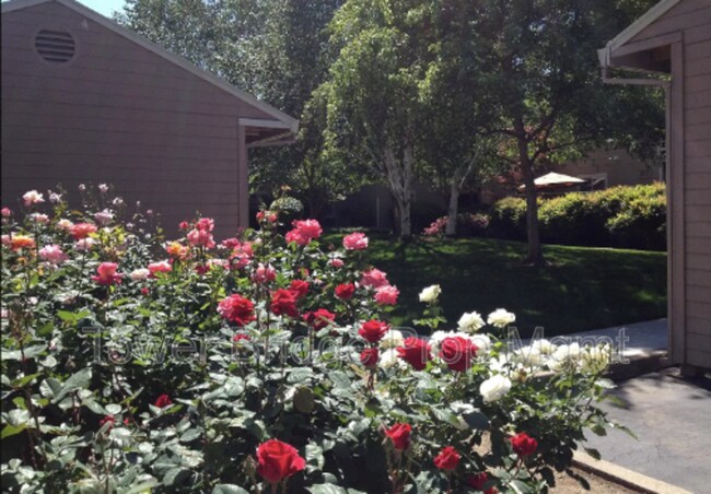 Building Photo - 11150 Trinity River Dr