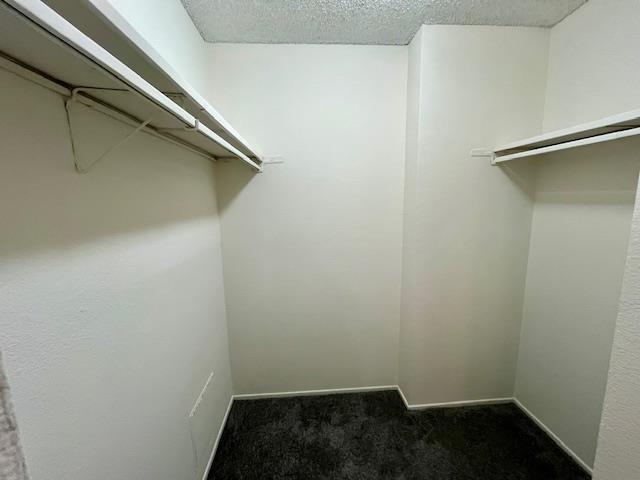 Building Photo - 6227 Shelter Creek Ln