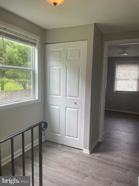 Building Photo - 538 Daisy Dr