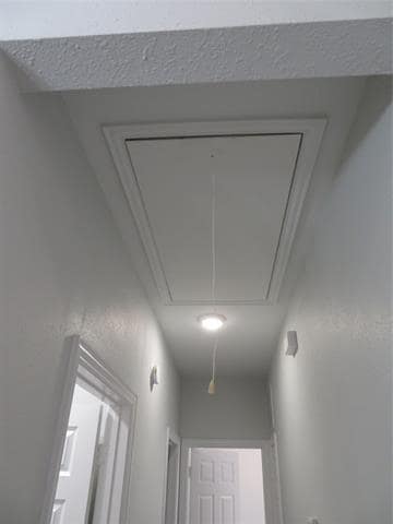 Building Photo - 2709 Stratford Ct