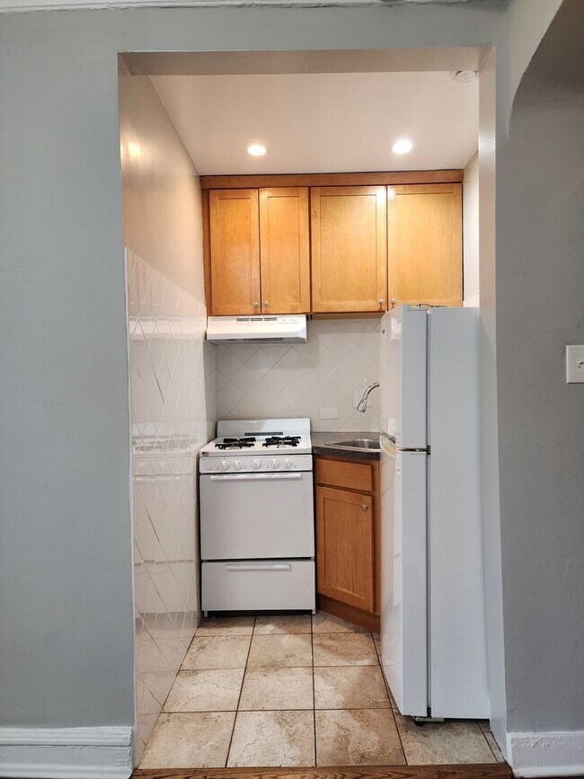 Building Photo - Recently Renovated East Rogers Park Garden...