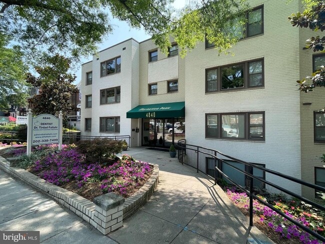 Building Photo - 4840 MacArthur Blvd NW