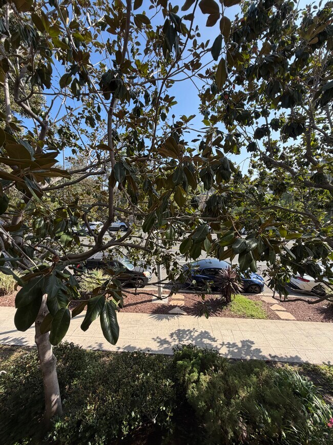 Building Photo - 540 Hawthorn St