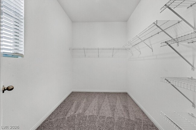 Building Photo - 1520 Little Penguin St