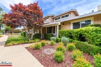 Building Photo - Lovely Townhouse | Loft | A/C | Desirable ...