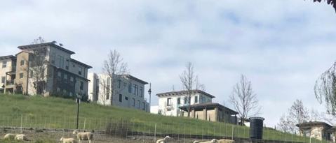 Building Photo - 3 San Jose Vineyard Ct