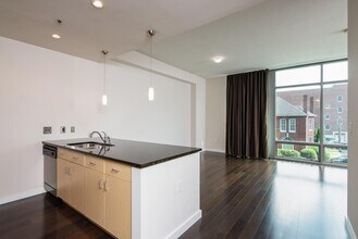 Building Photo - Beautiful Studio Condo In The Adelicia
