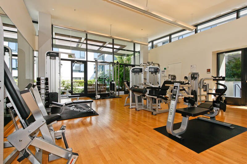 State of the art private gym, filled with car - 250 King St