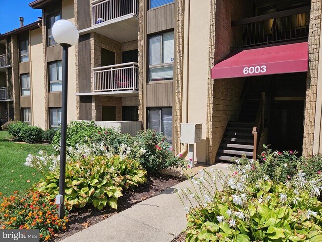 Building Photo - 6003 Majors Ln